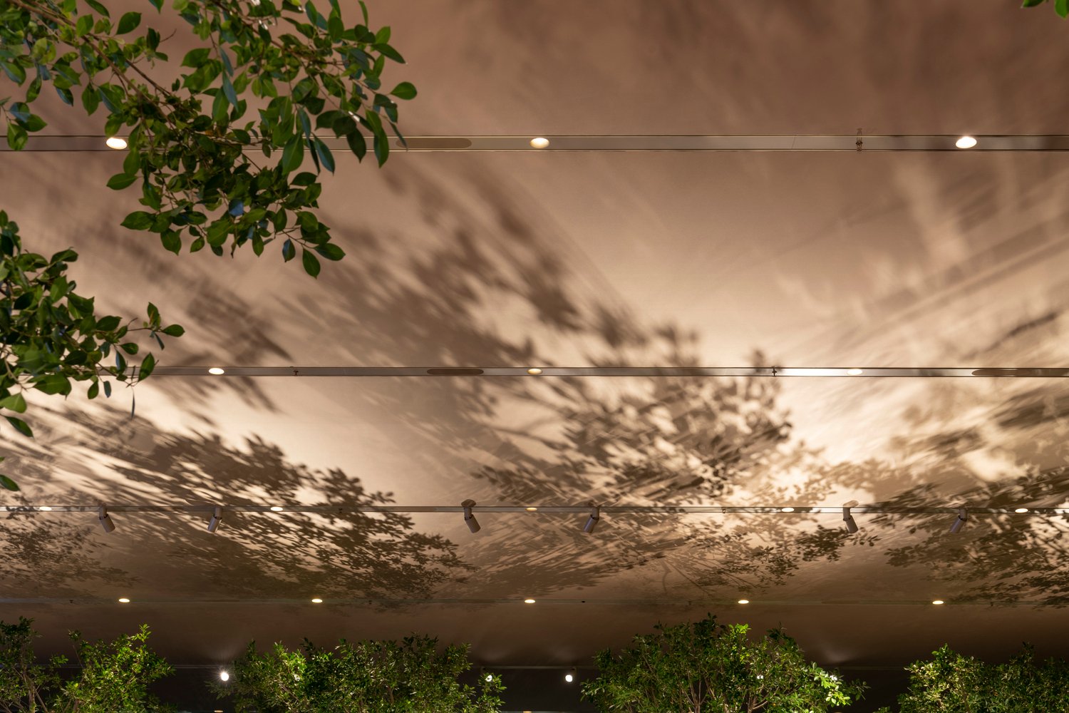 Apple Al Maryah Island 由福斯特建筑事务所设计