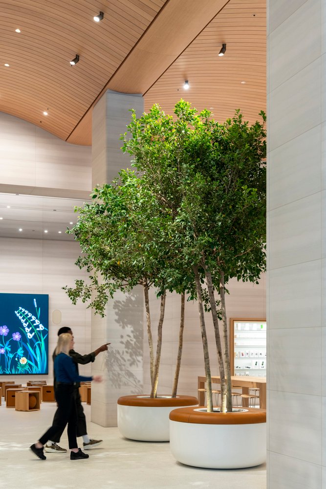 苹果布朗普顿路由福斯特建筑事务所设计