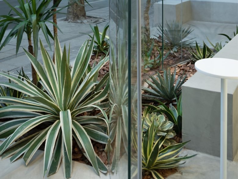 B.l.U.E. 的 % 阿拉比卡咖啡建筑工作室 B.l.U.E. 的 % 阿拉比卡咖啡建筑工作室