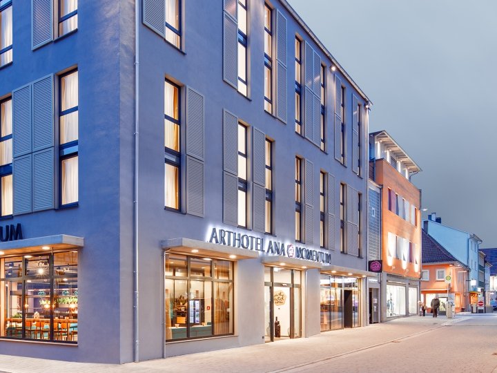 DFROST ANA Momentum 艺术酒店，格平根 – 德国