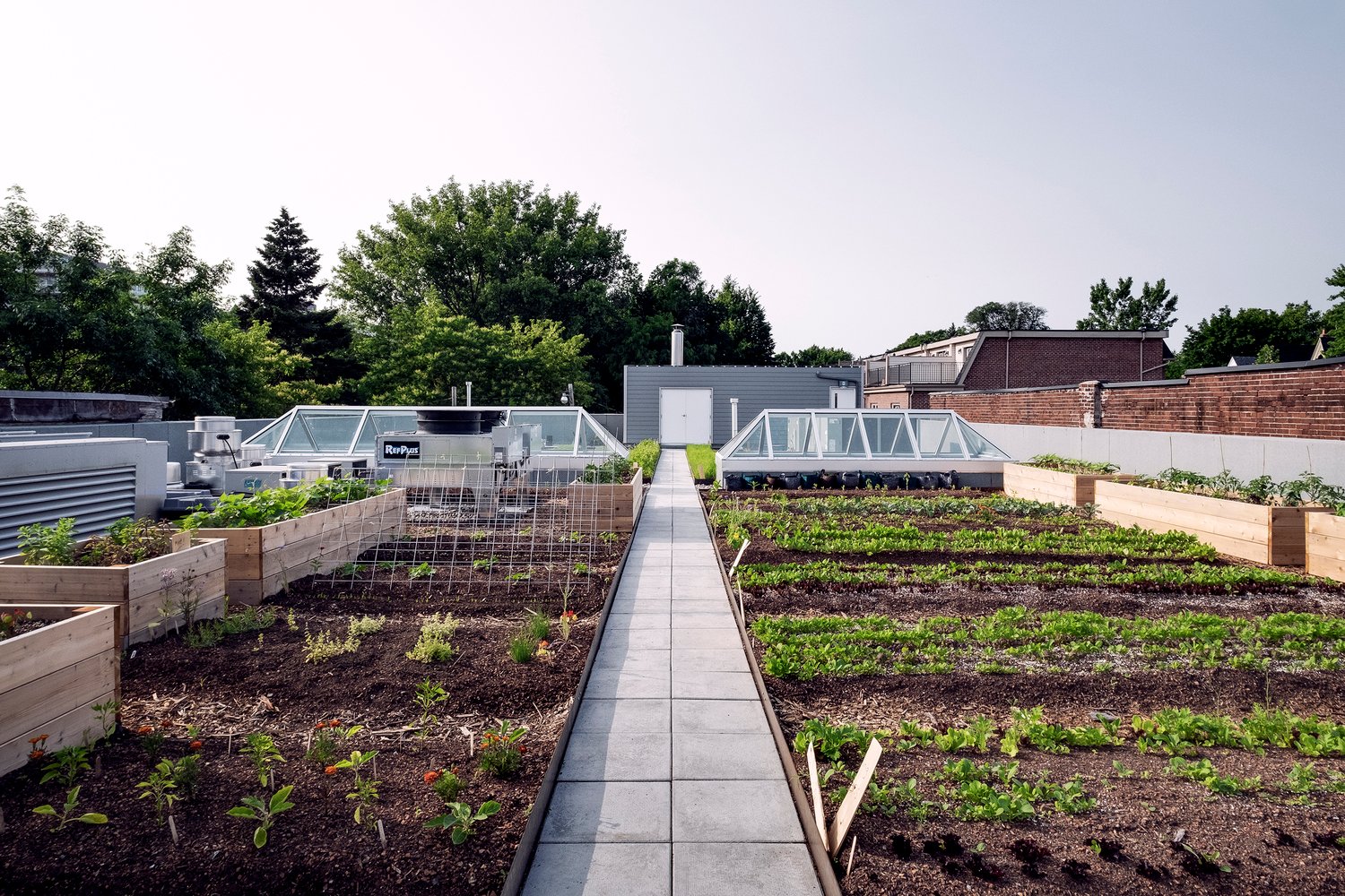 LAMAS 的 Avling 厨房和啤酒厂