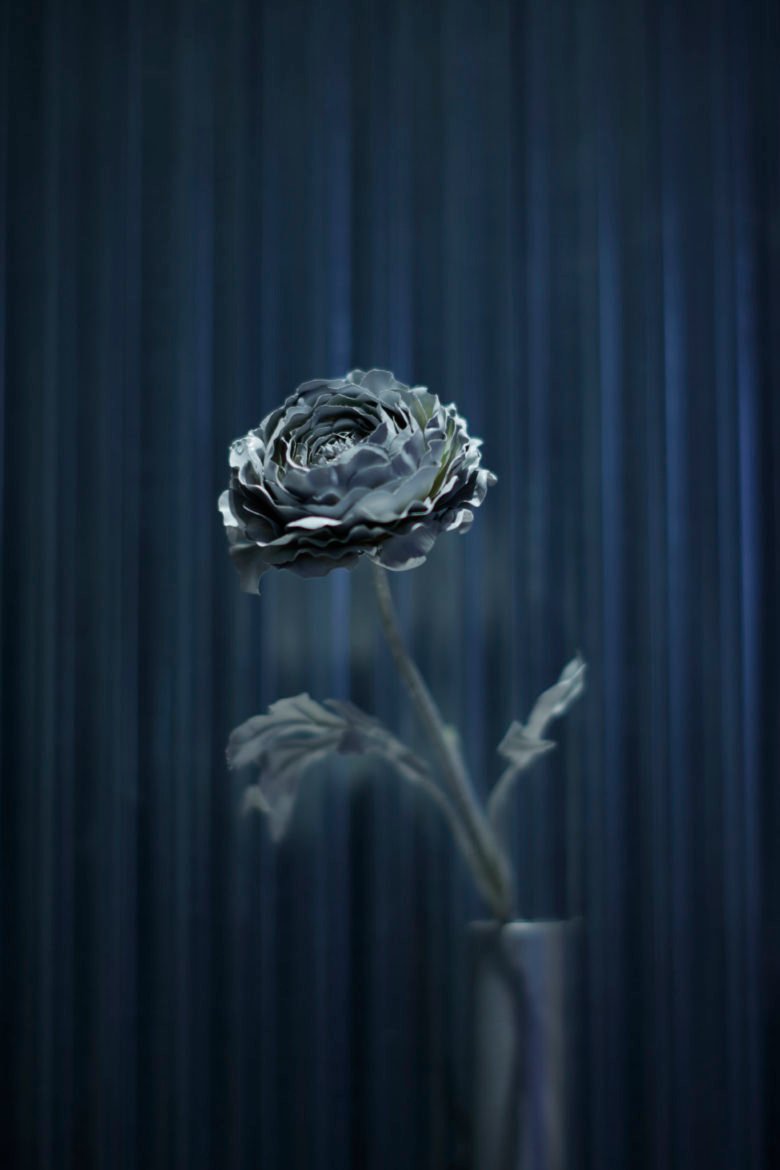 美丽的人 美丽的人