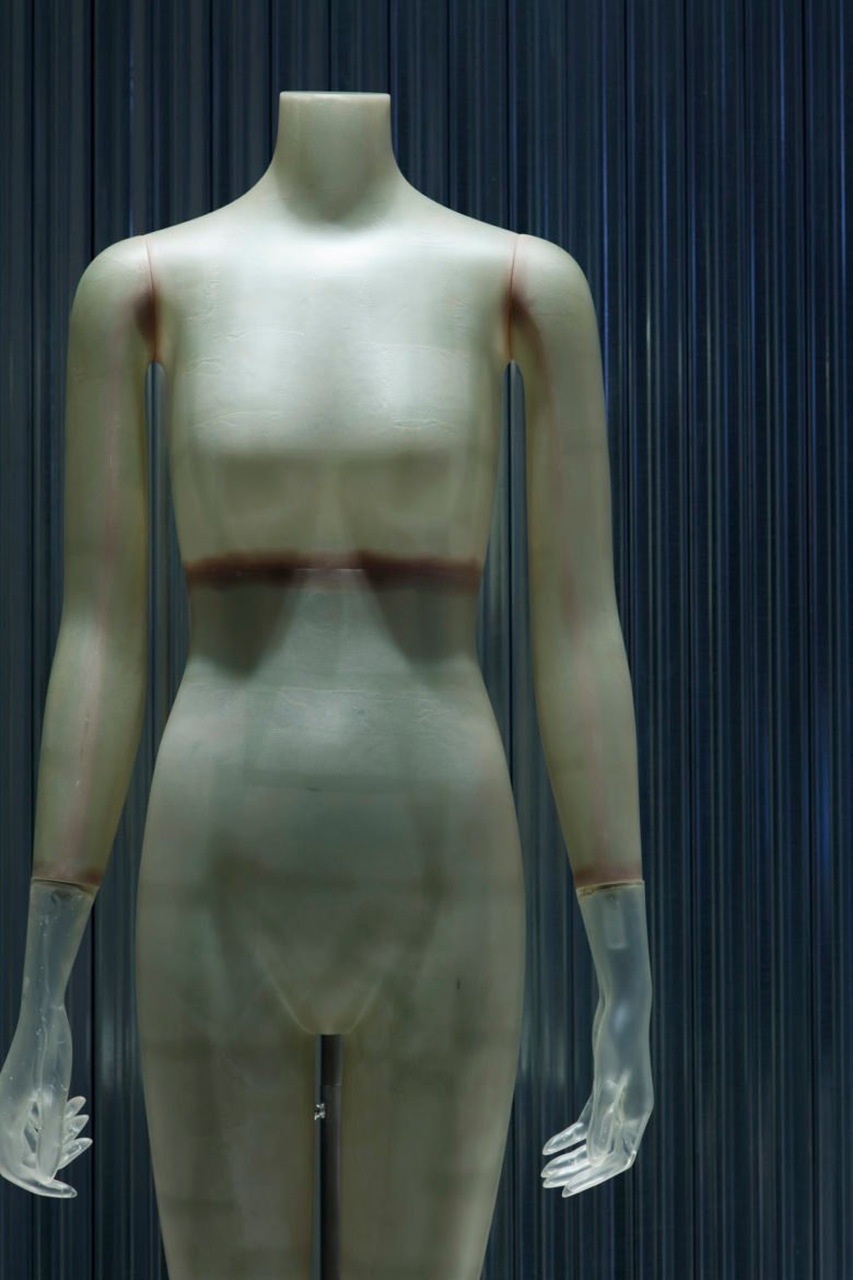 美丽的人 美丽的人