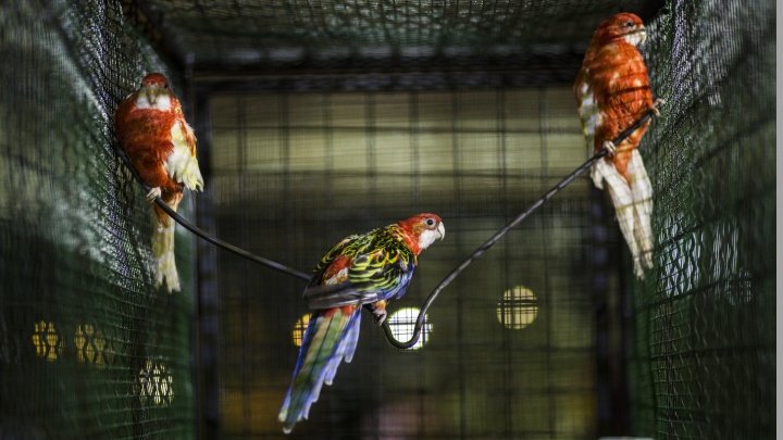 Barrio B 酒廊酒吧,Ardi CC,普里什蒂纳 – 科索沃 Barrio B 酒廊酒吧,Ardi CC,普里什蒂纳 – 科索沃