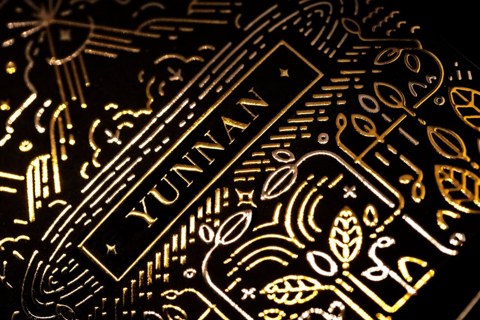 爱丽丝·马卡洛娃 (Alice Macarova) 拍摄的贝蒂亚 (Bettea)