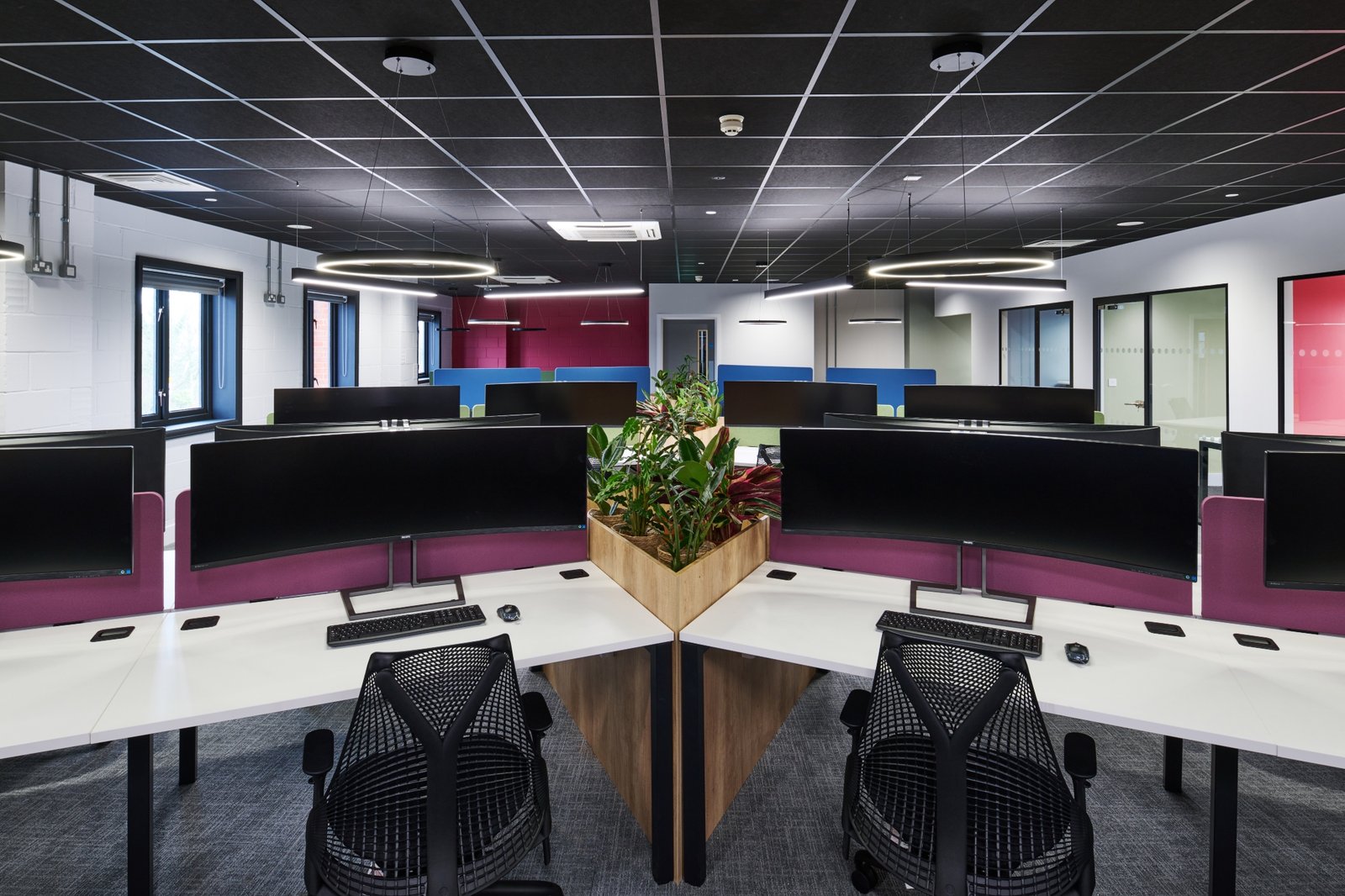 Bluespace 的 Halo 服务解决方案