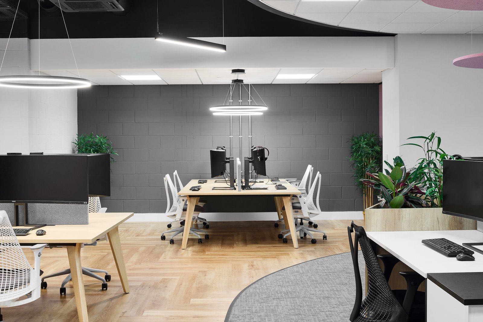 Bluespace 的 Halo 服务解决方案