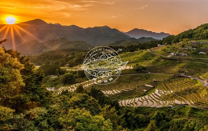 Chinoiserie 的博云澜翠品牌 Chinoiserie 的博云澜翠品牌