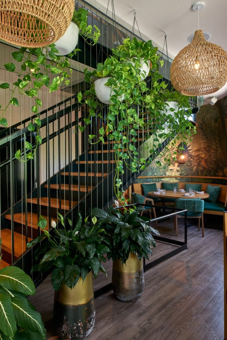 Buena Vida 由 CORE 建筑 + 设计