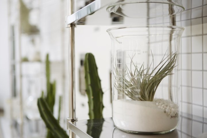 NiiiZ Design LAB 设计的 CARIN 旗舰店，韩国首尔