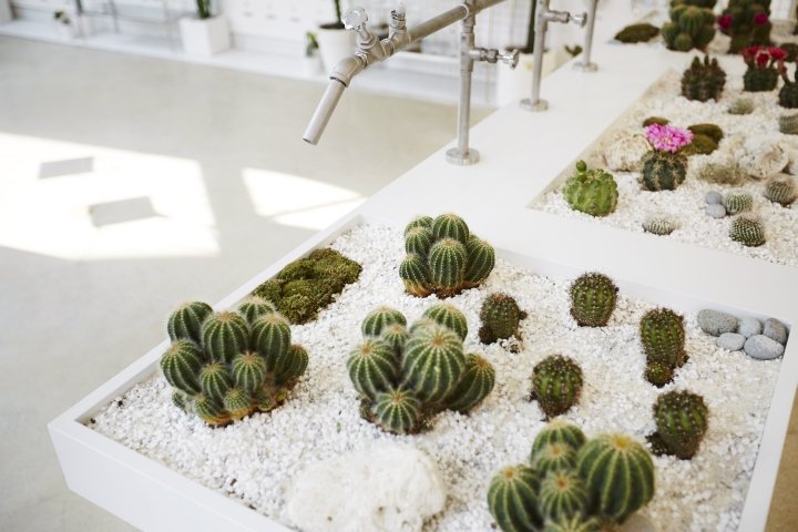 NiiiZ Design LAB 设计的 CARIN 旗舰店，韩国首尔