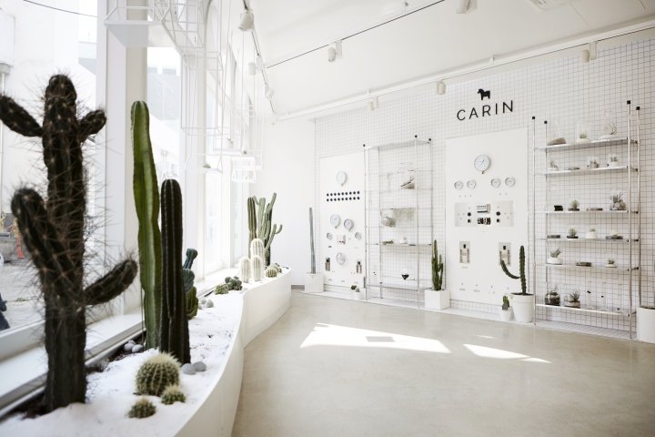 NiiiZ Design LAB 设计的 CARIN 旗舰店，韩国首尔
