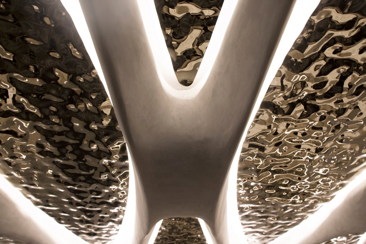 CAA Architects 设计的 CASA TALIA 餐厅