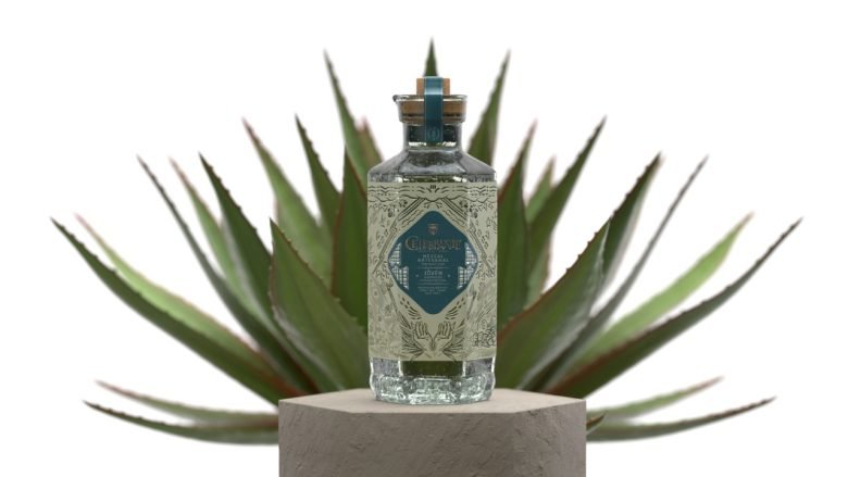 Hi estudio 的 CELEBRANTE