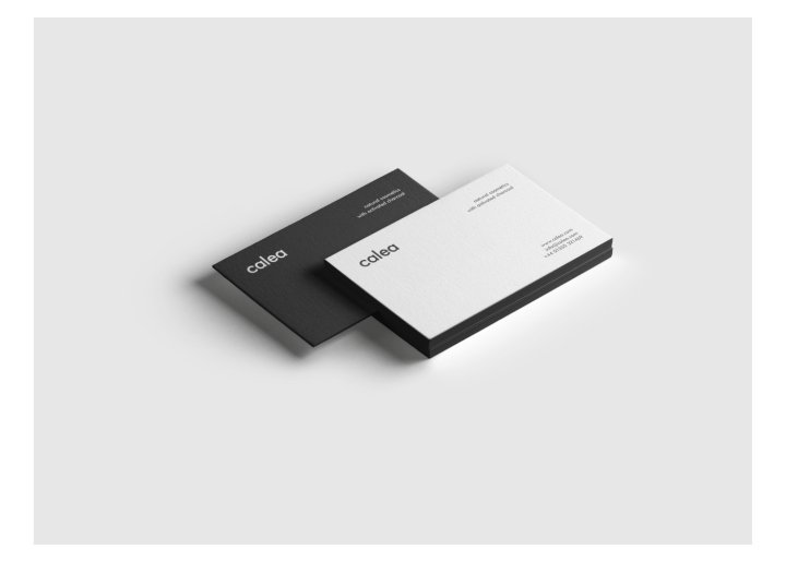 Calea Cosmetics 品牌和包装由 Dawid Wadach 设计