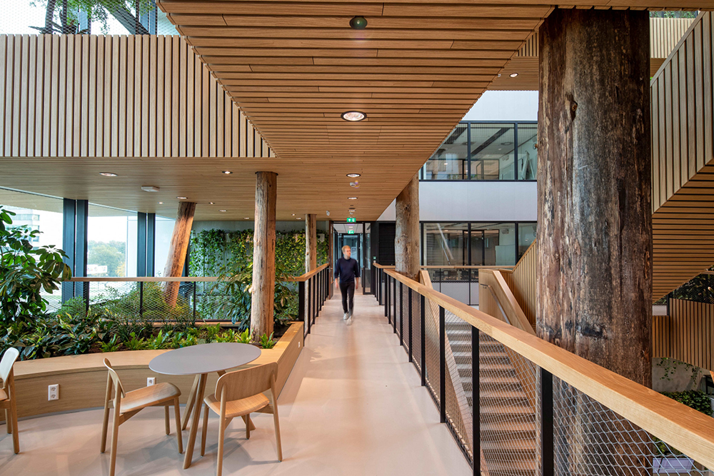 鹿特丹伊拉斯姆斯大学沃德斯坦校区 / Paul de Ruiter Architects