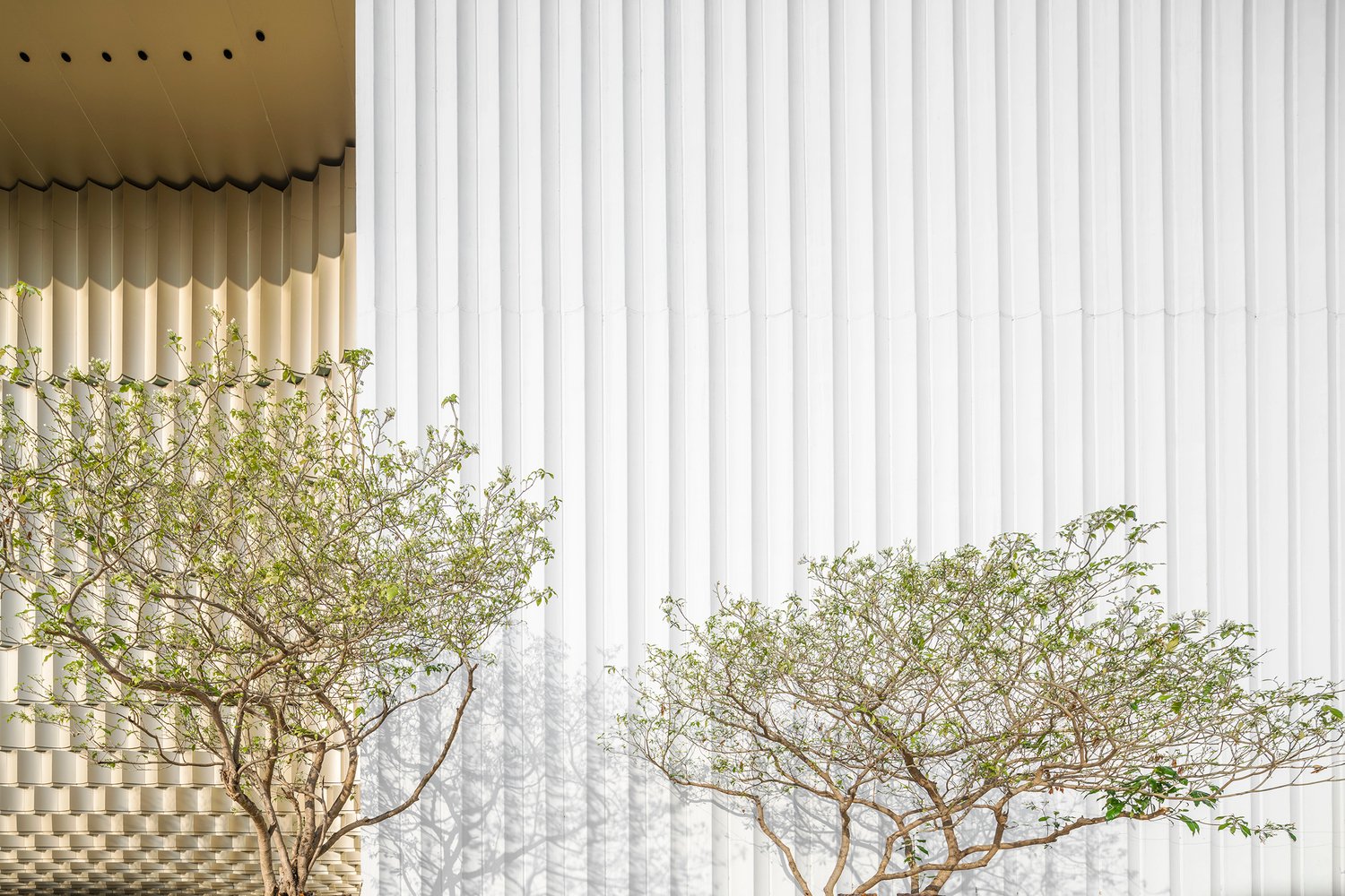 Onion 设计的大城府中央外墙