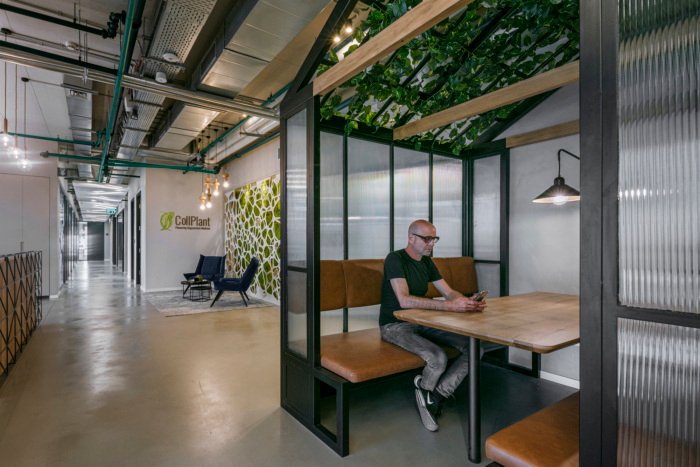 Setter Architects 设计的 CollPlant 办公室 Setter Architects 设计的 CollPlant 办公室