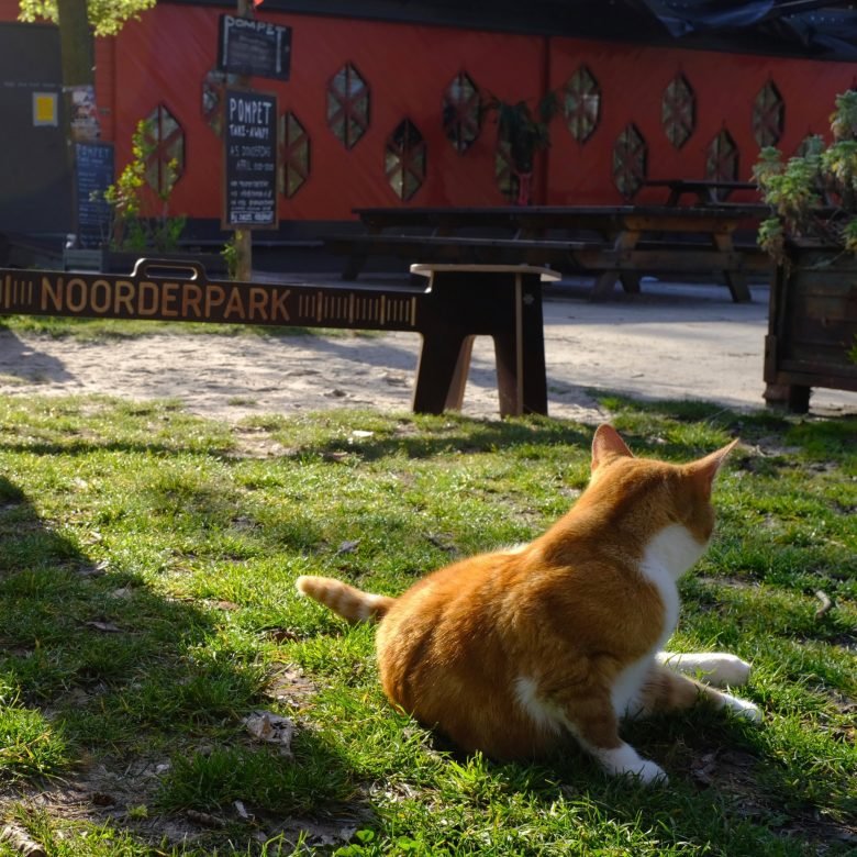 科罗纳危机 Kruk 长凳，由 Object Studio 设计