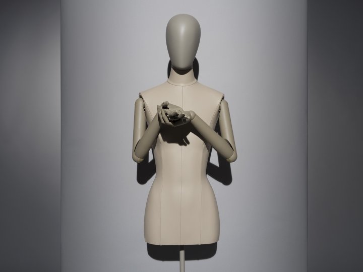 Hans Boodt 人体模型覆盖躯干