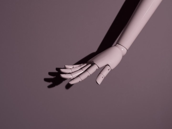 Hans Boodt 人体模型覆盖躯干