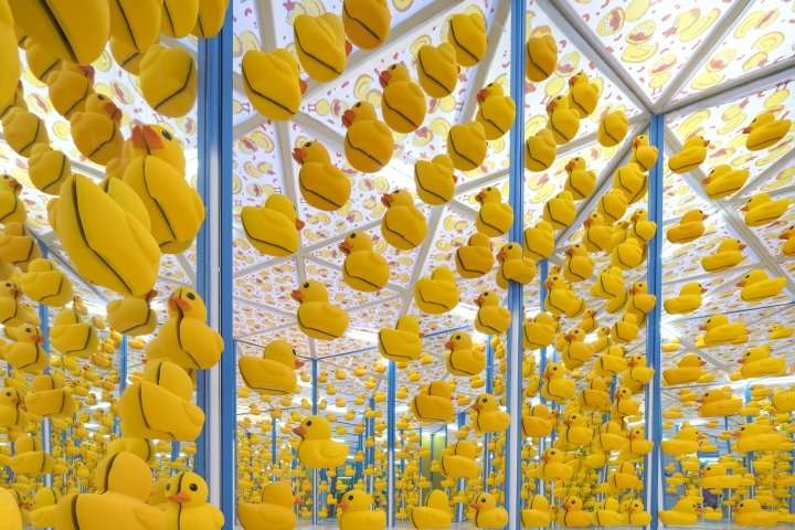 B U G Studio 的疯狂迷宫,曼谷 – 泰国 B U G Studio 的疯狂迷宫,曼谷 – 泰国