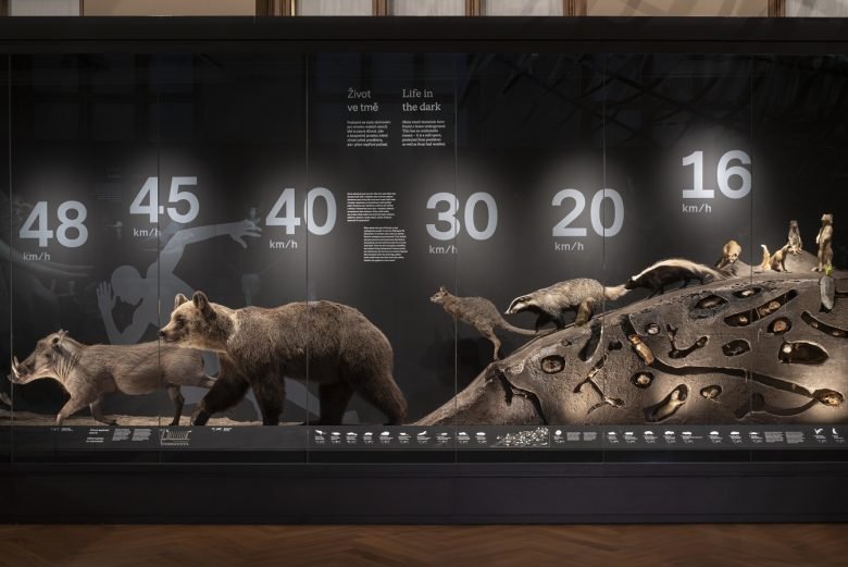 布拉格国家博物馆 by umdasch The Store Makers