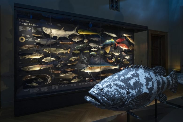 布拉格国家博物馆 by umdasch The Store Makers