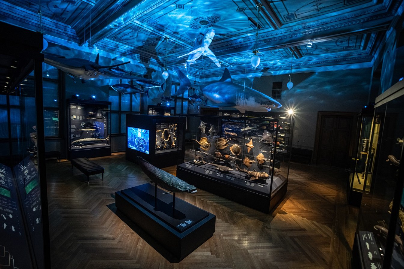 布拉格国家博物馆 by umdasch The Store Makers