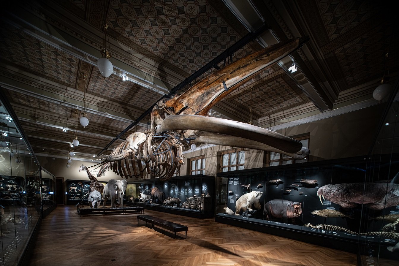 布拉格国家博物馆 by umdasch The Store Makers