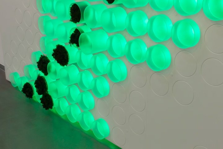 数字花园，mo.studio，德国杜塞尔多夫