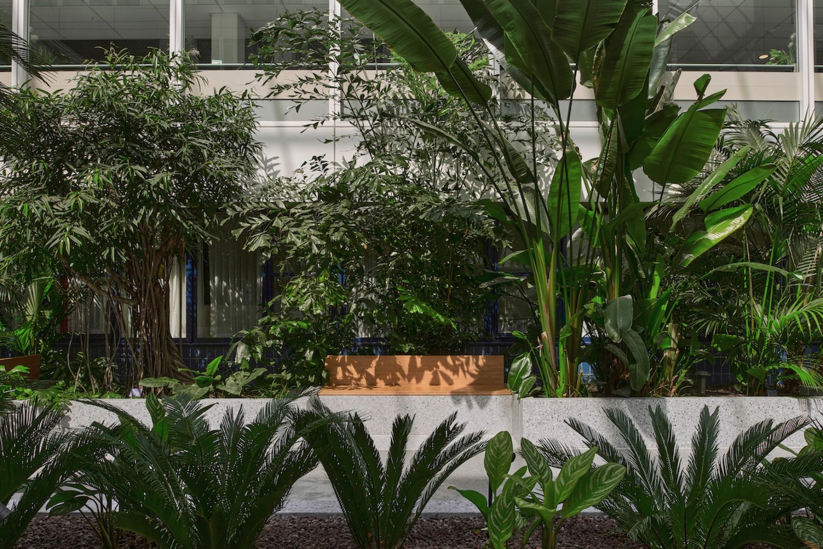 Dijklander 医院 / Studio Roelof Mulder 和 Bureau Ira Koers