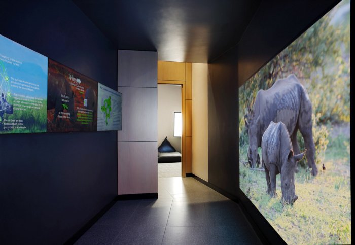 由 Head Interiors 设计的 Dimension Data 办公室