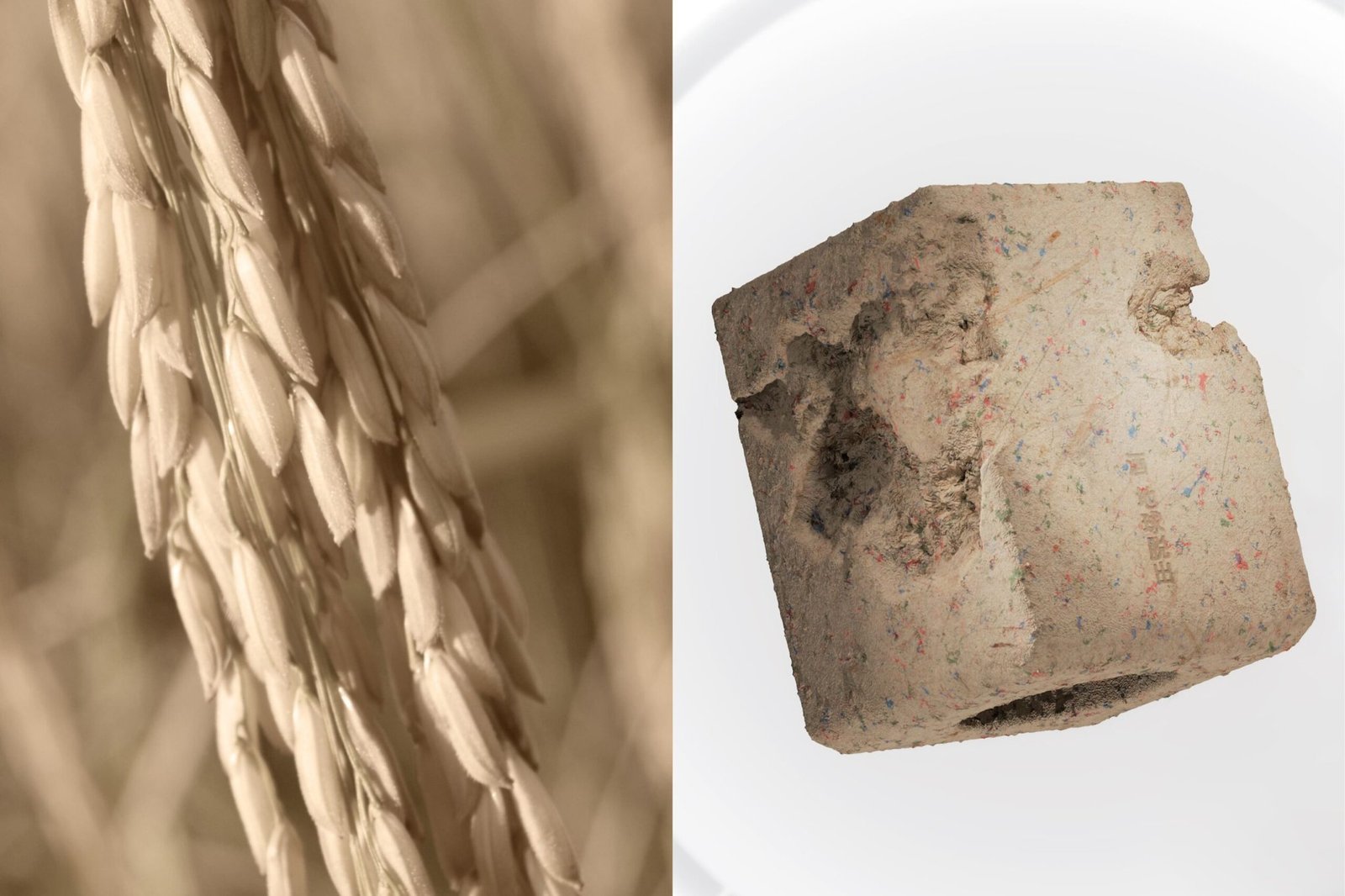 EXOD，莫里拉斯品牌的烈酒星际旅行