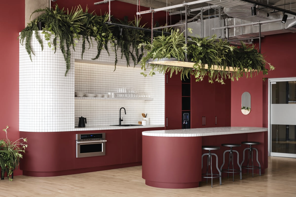 Linebox Studio 动物卫生办公室的演变 Linebox Studio 动物卫生办公室的演变