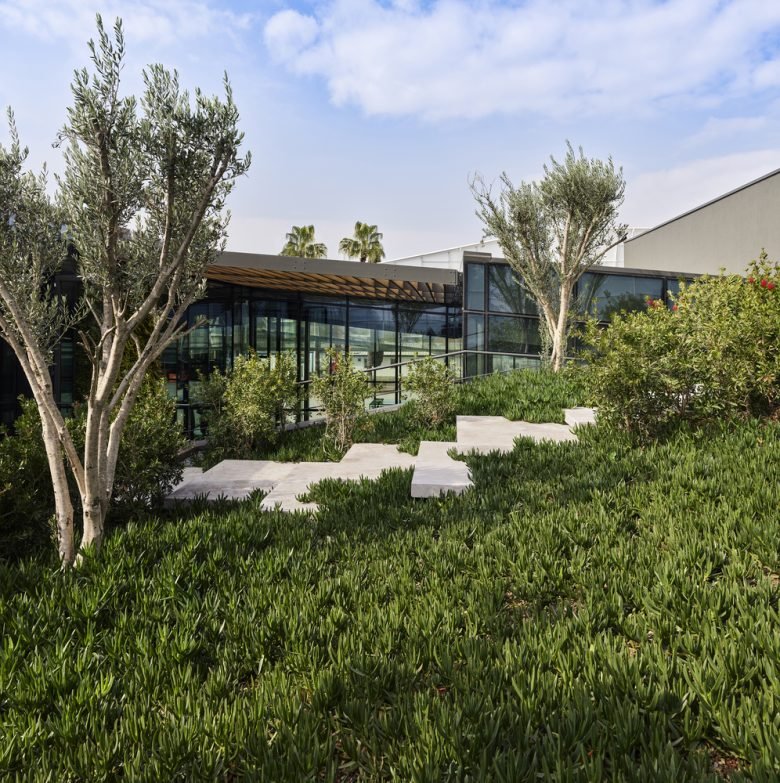 ACARARCH 的 FNN 可持续发展中心