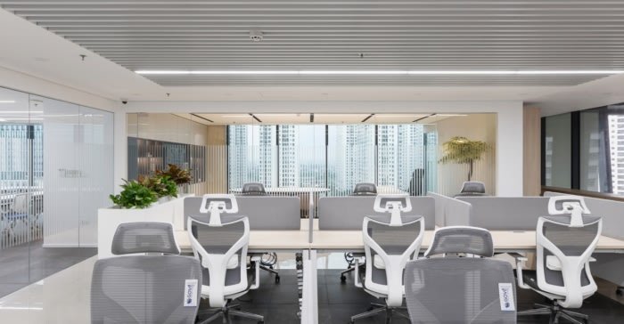 APES 的 Fintwin 办公室 APES 的 Fintwin 办公室