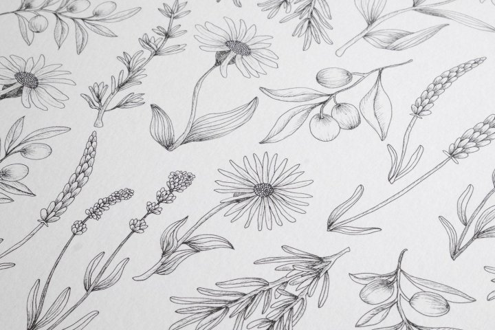 克莱尔·哈特利 (Claire Hartley) 的森林与海岸包装