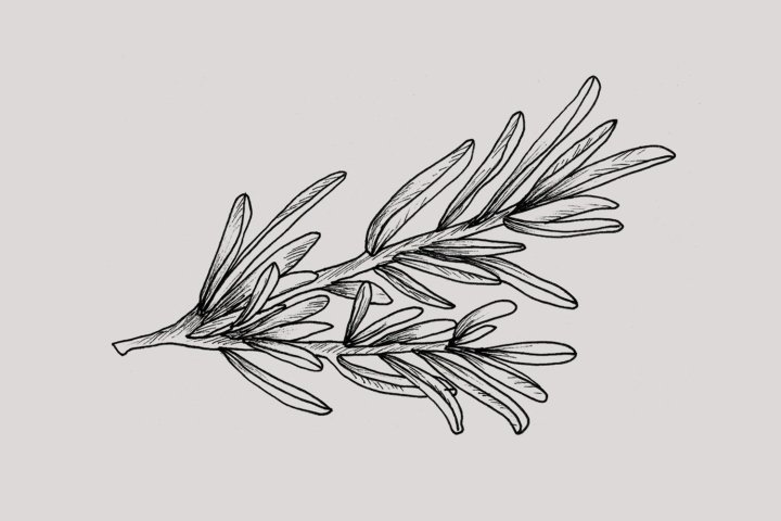 克莱尔·哈特利 (Claire Hartley) 的森林与海岸包装