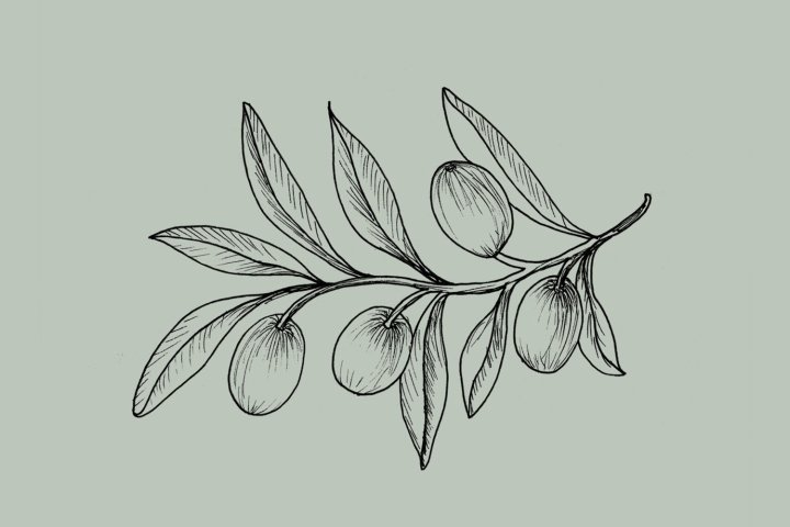 克莱尔·哈特利 (Claire Hartley) 的森林与海岸包装