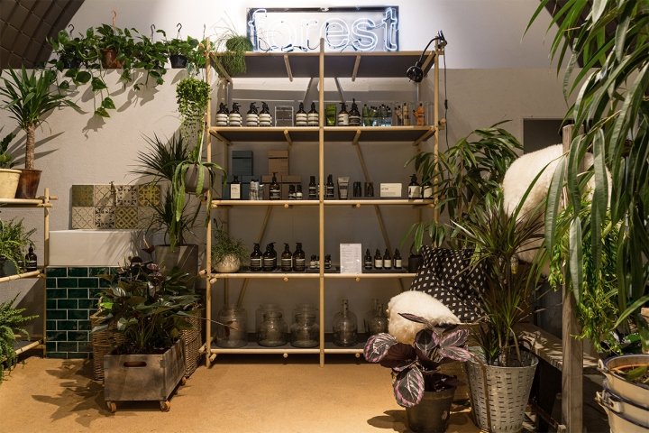 Forest store by and then-studio，伦敦 – 英国