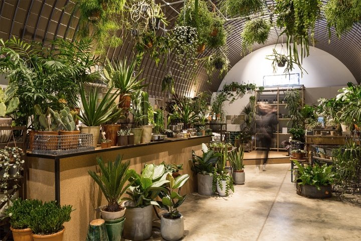 Forest store by and then-studio，伦敦 – 英国