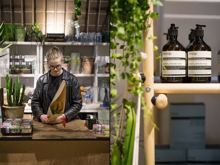 Forest store by and then-studio，伦敦 – 英国