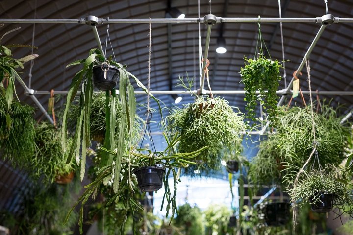 Forest store by and then-studio，伦敦 – 英国