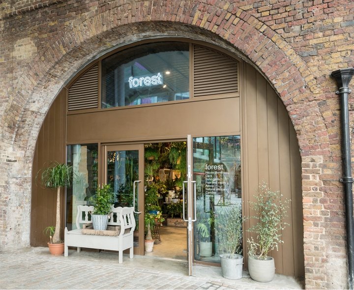 Forest store by and then-studio，伦敦 – 英国