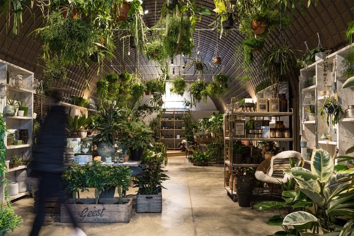 Forest store by and then-studio，伦敦 – 英国
