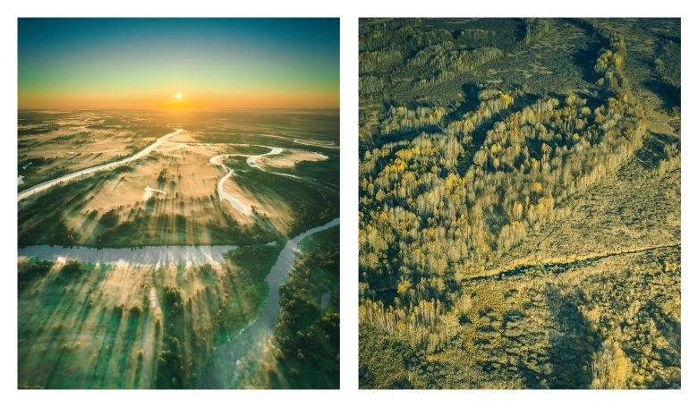 Frangula 蜂蜜，作者：Firuz Kurbonzodski