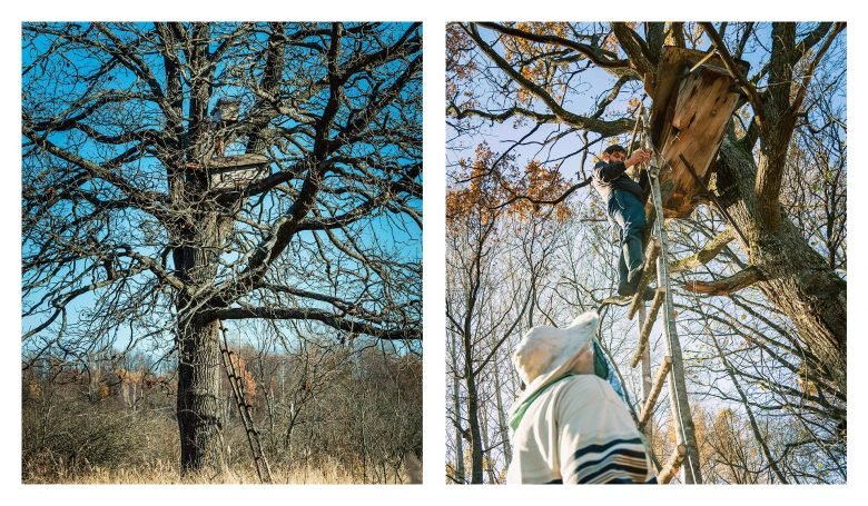 Frangula 蜂蜜，作者：Firuz Kurbonzodski