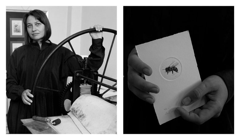 Frangula 蜂蜜，作者：Firuz Kurbonzodski