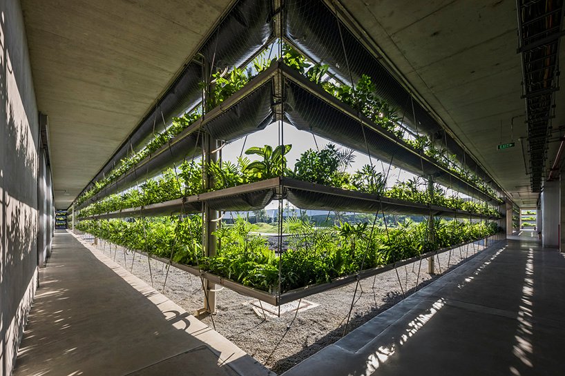 G8A 建筑事务所和 rollimarchini architekten 为越南雅各布工厂增添绿色立面 G8A 建筑事务所和 rollimarchini architekten 为越南雅各布工厂增添绿色立面